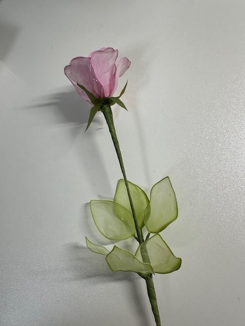 0519a2025.jpg